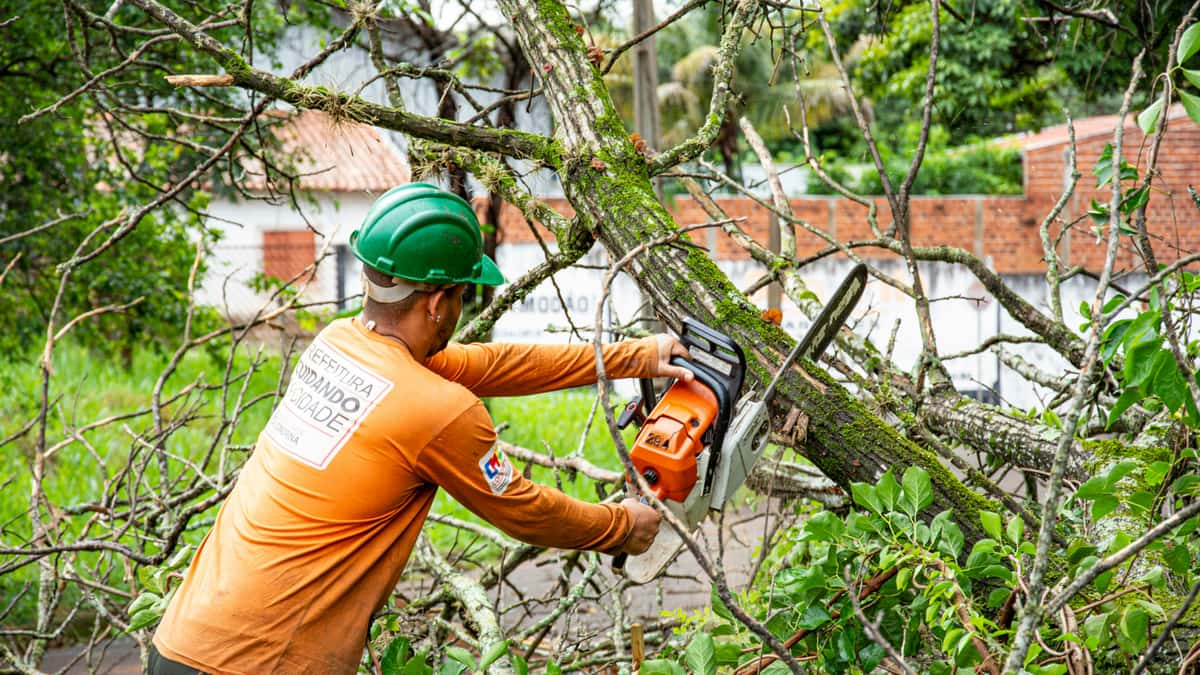 Mohawks Tree Services LLC