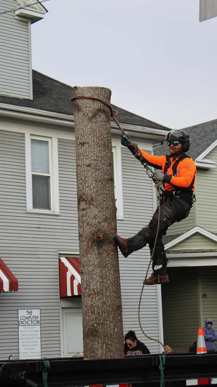 Mohawks Tree Services LLC